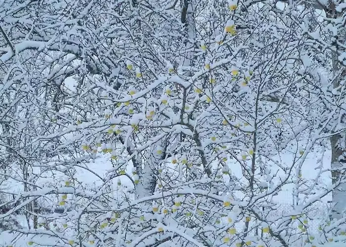 Maison 홈스테이 Bessede-de-Sault