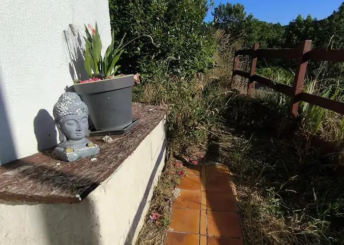 Maison 홈스테이 *