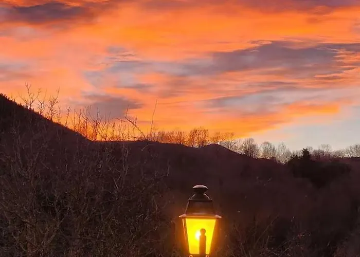 Maison 홈스테이 *